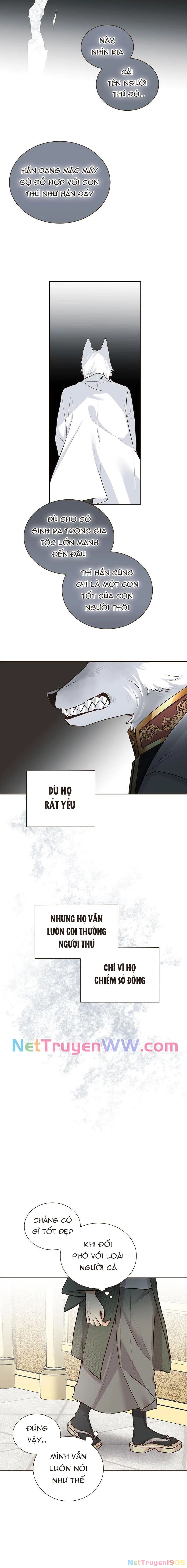 Cô Dâu Của Sói Trắng Chapter 4 - 11
