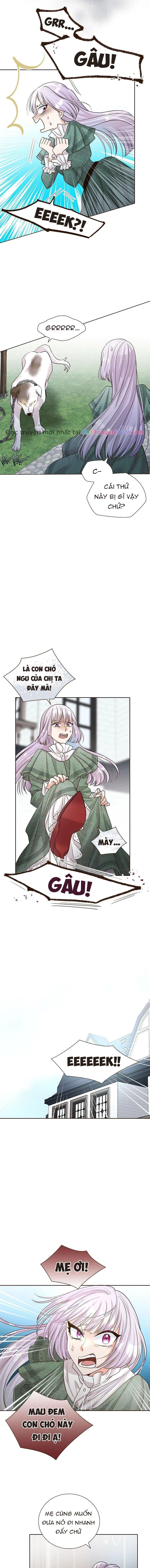 Cô Dâu Của Sói Trắng Chapter 8 - 3