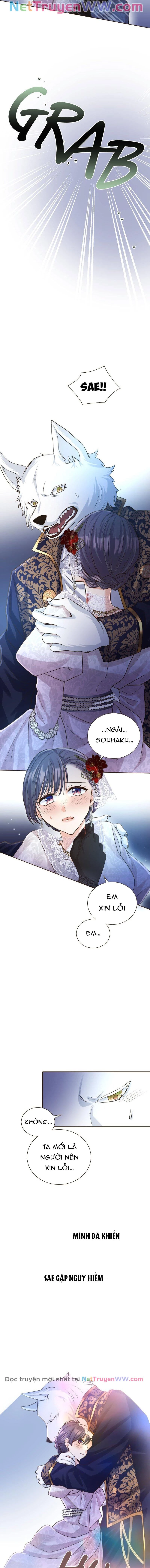 Cô Dâu Của Sói Trắng Chapter 19 - 14