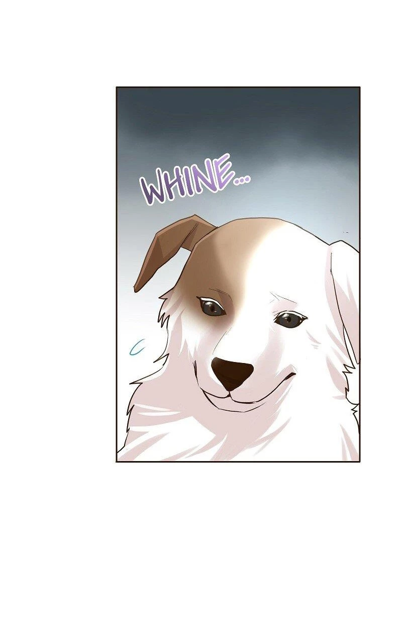 Cô Dâu Của Sói Trắng Chapter 21 - 9