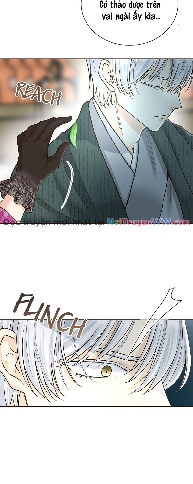 Cô Dâu Của Sói Trắng Chapter 22 - 31