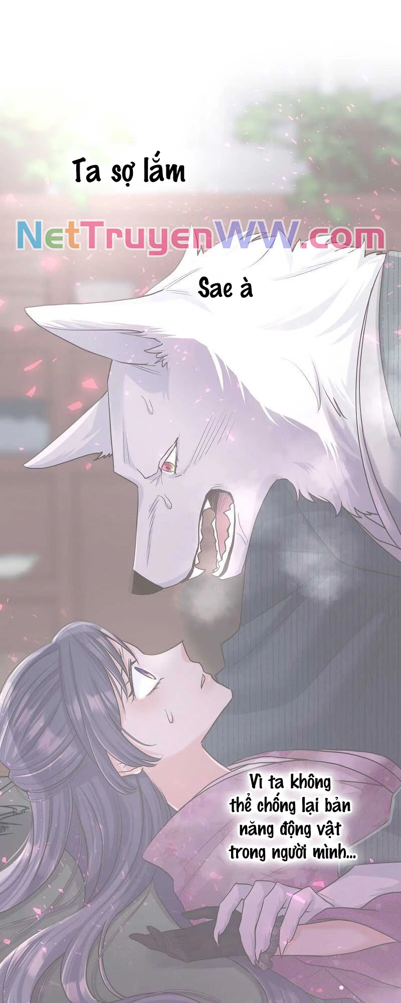 Cô Dâu Của Sói Trắng Chapter 23 - 45