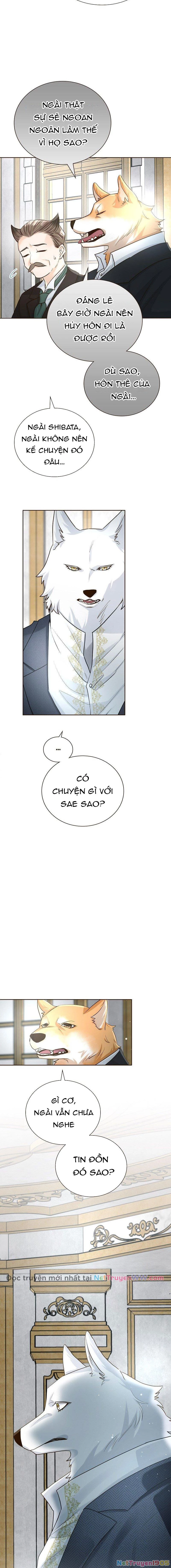 Cô Dâu Của Sói Trắng Chapter 31 - 9