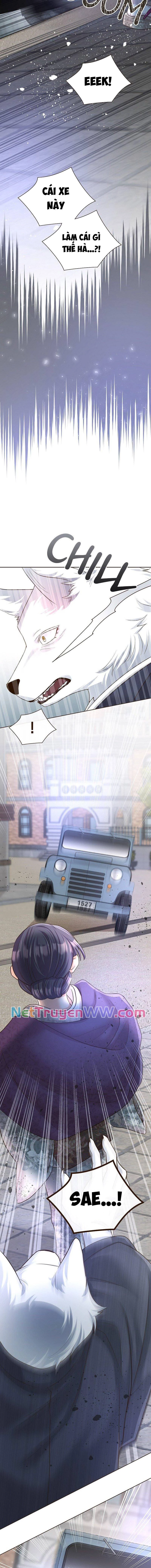 Cô Dâu Của Sói Trắng Chapter 40 - 11