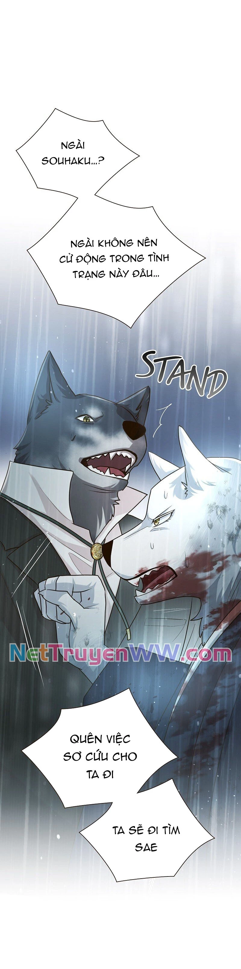 Cô Dâu Của Sói Trắng Chapter 41 - 41