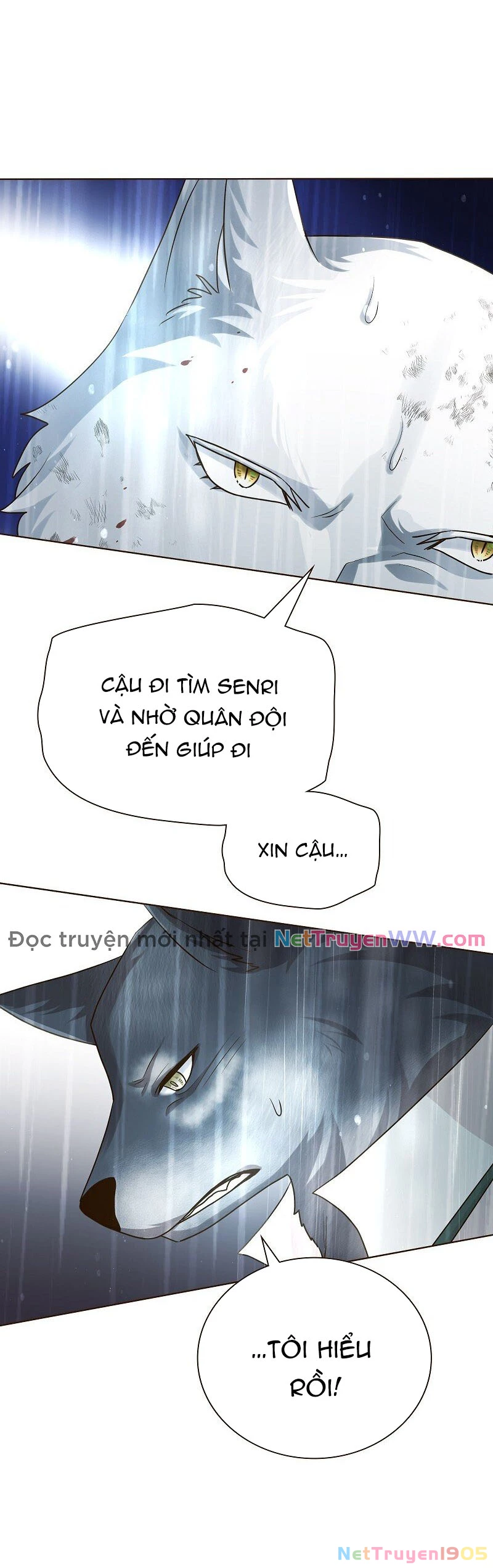 Cô Dâu Của Sói Trắng Chapter 41 - 42