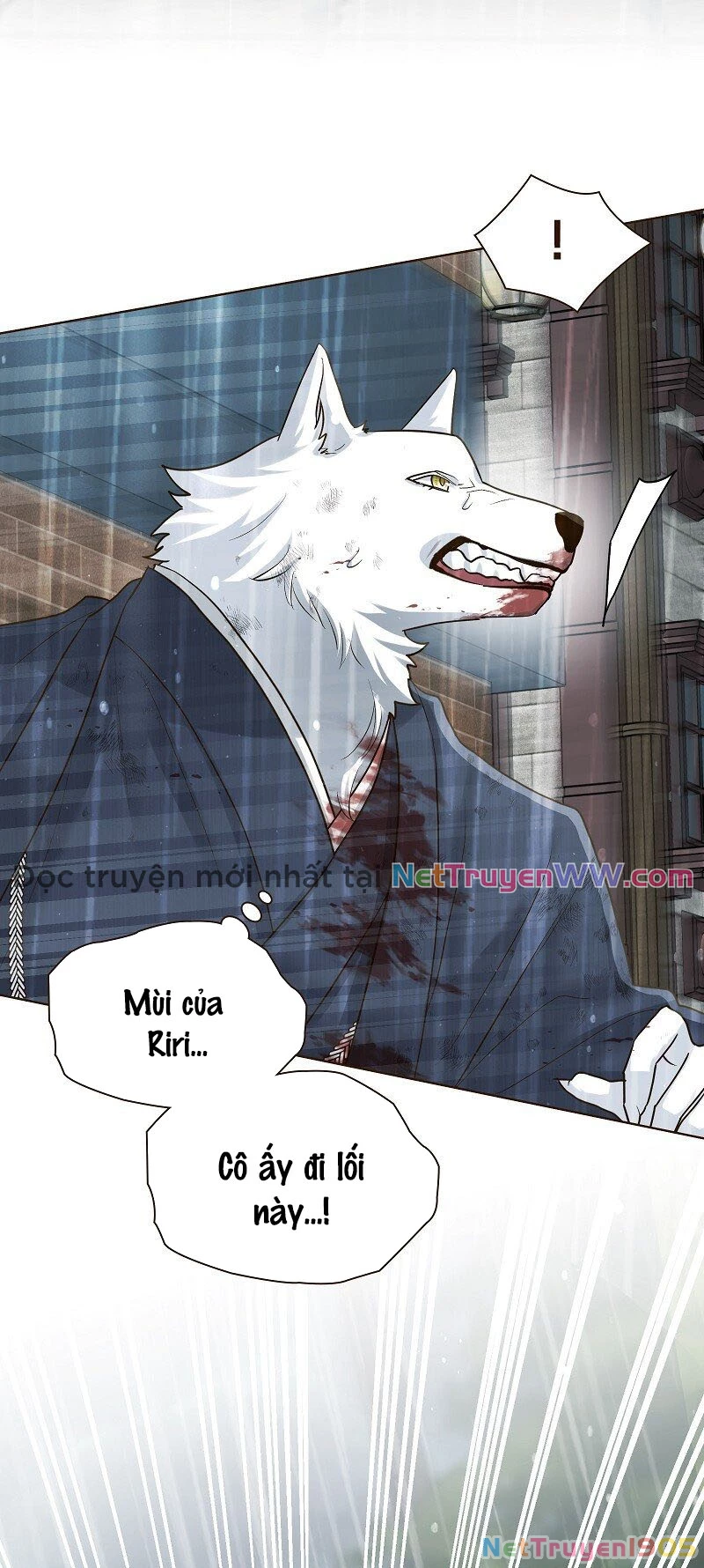 Cô Dâu Của Sói Trắng Chapter 42 - 3
