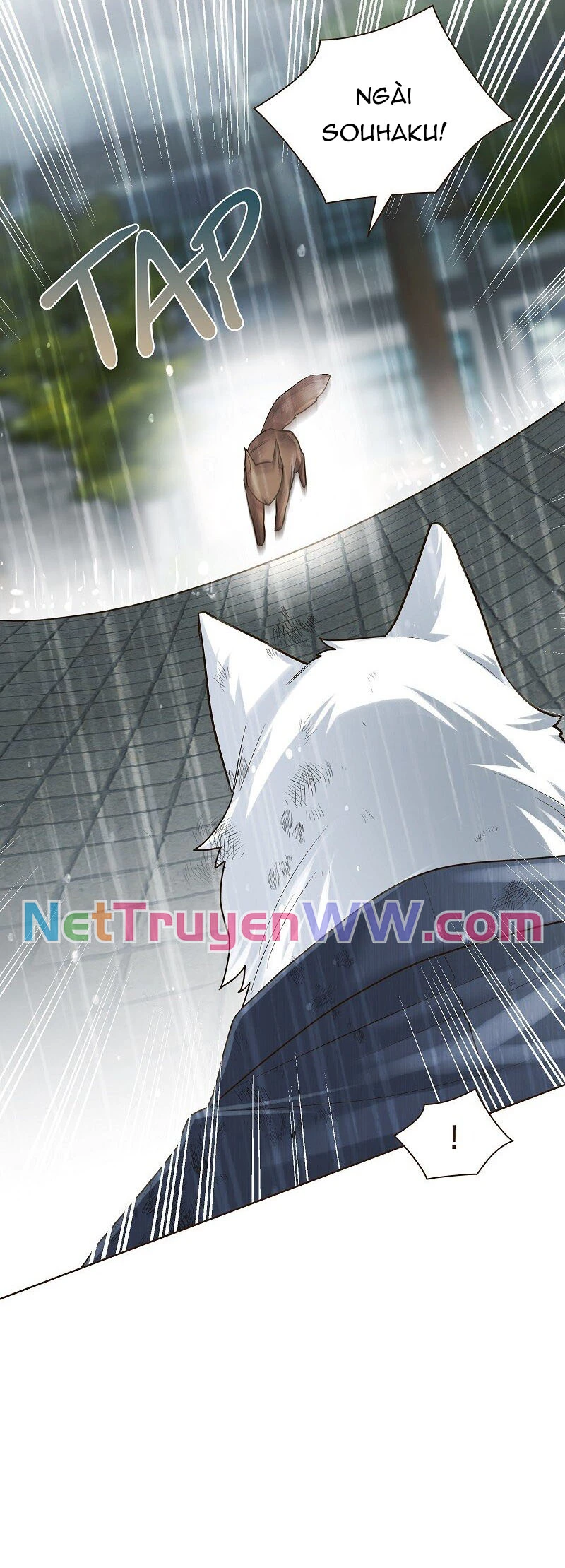 Cô Dâu Của Sói Trắng Chapter 42 - 4