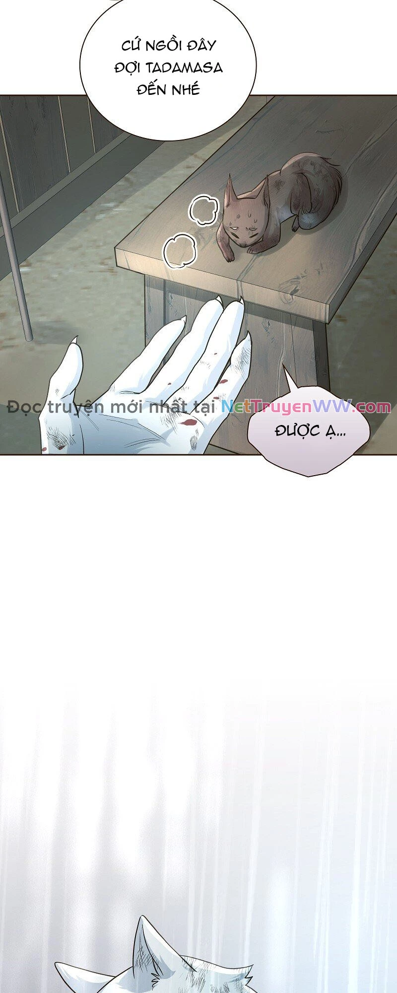 Cô Dâu Của Sói Trắng Chapter 42 - 11