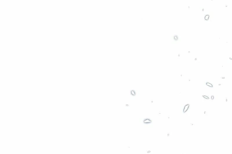 Cô Dâu Của Sói Trắng Chapter 47 - 84