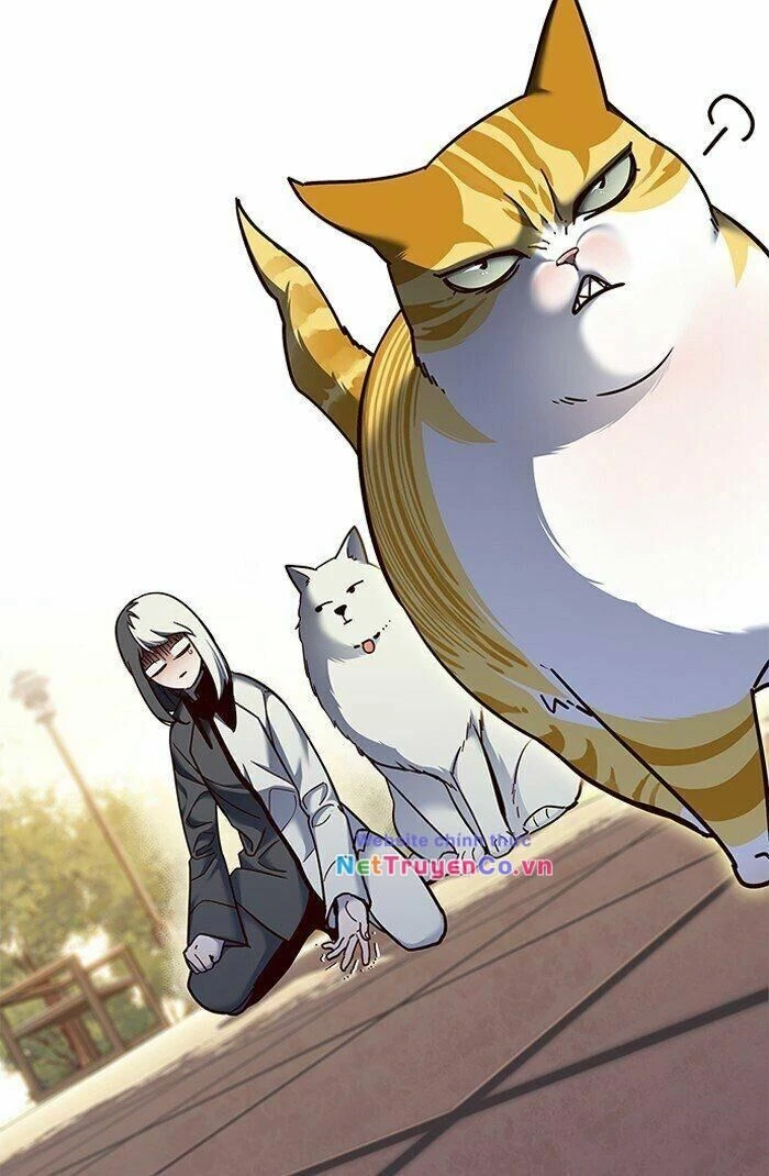 Cô Dâu Của Sói Trắng Chapter 81 - 4