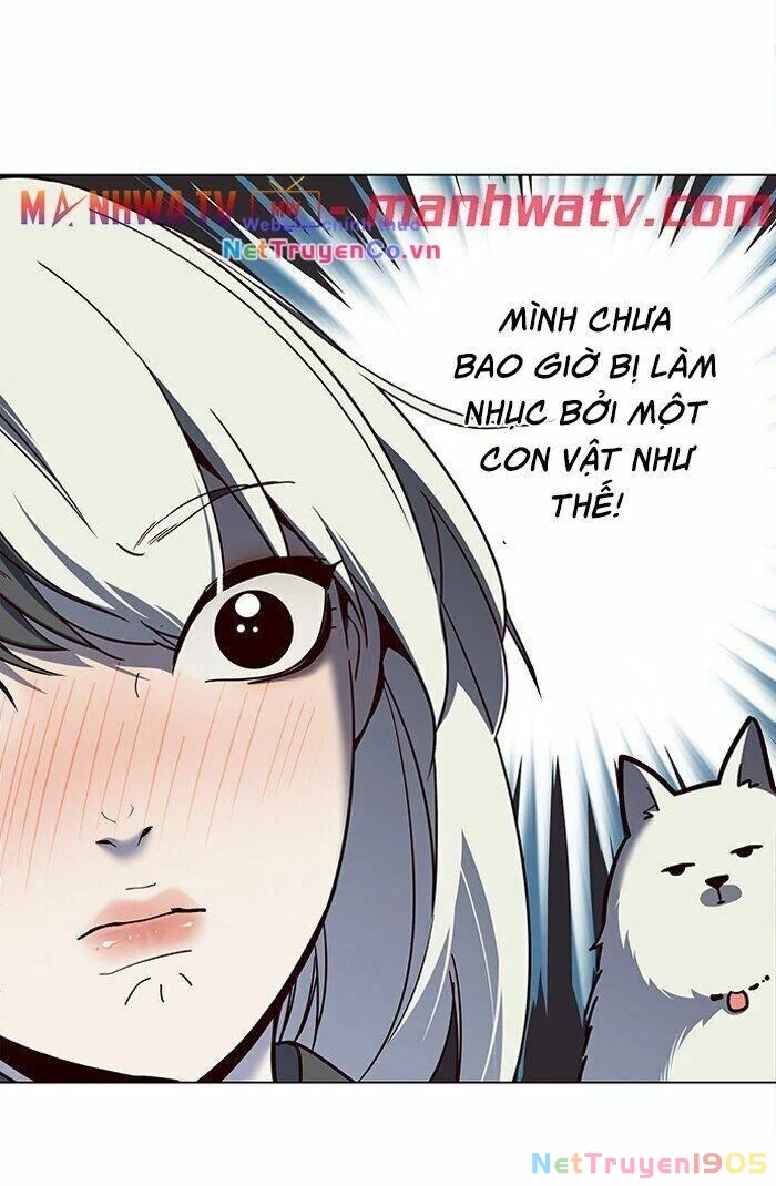 Cô Dâu Của Sói Trắng Chapter 81 - 10