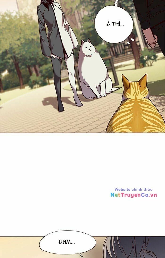 Cô Dâu Của Sói Trắng Chapter 81 - 33