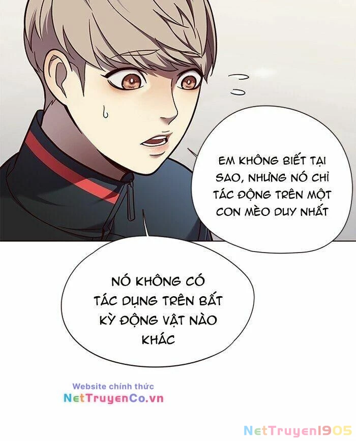 Cô Dâu Của Sói Trắng Chapter 81 - 85