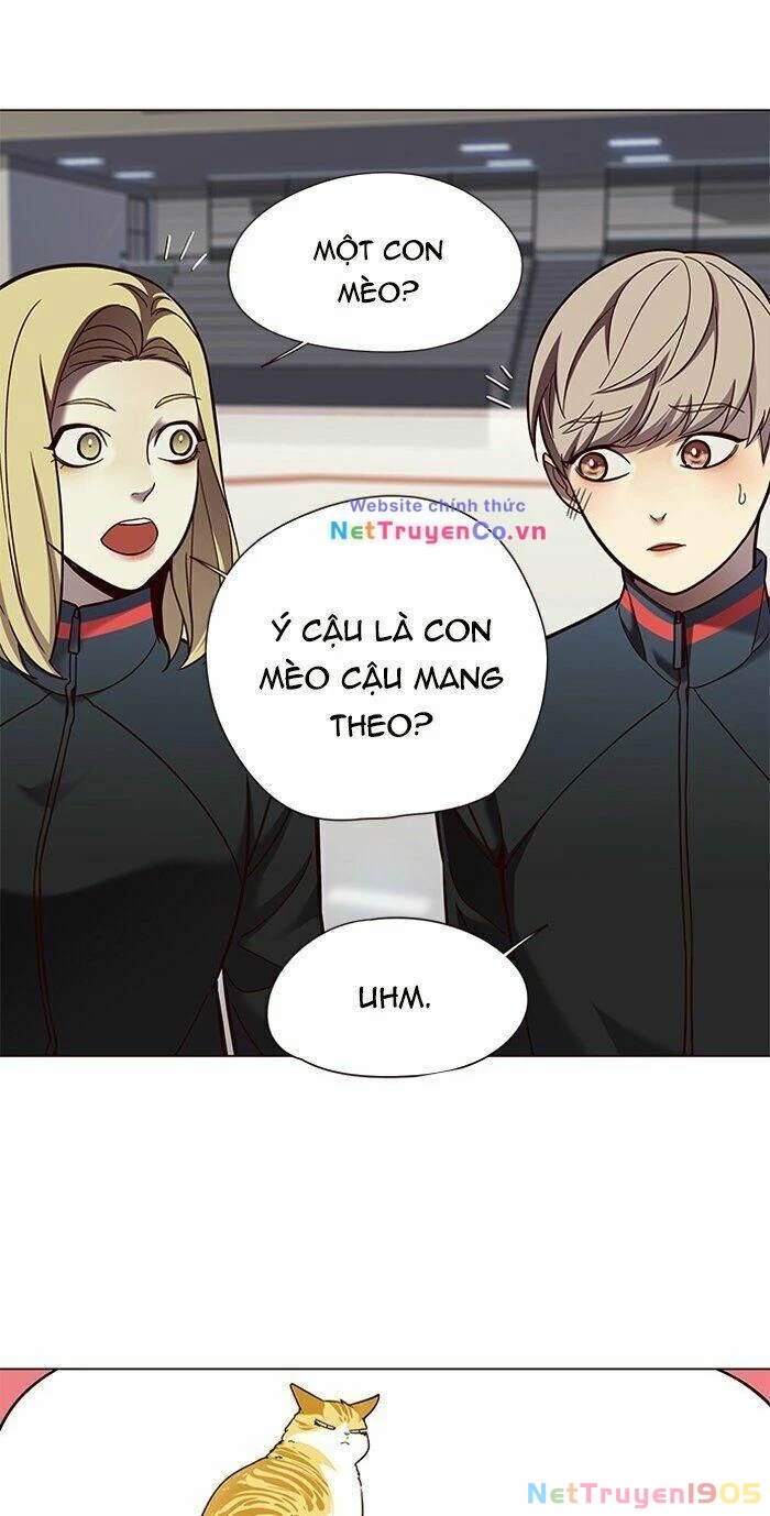 Cô Dâu Của Sói Trắng Chapter 81 - 86
