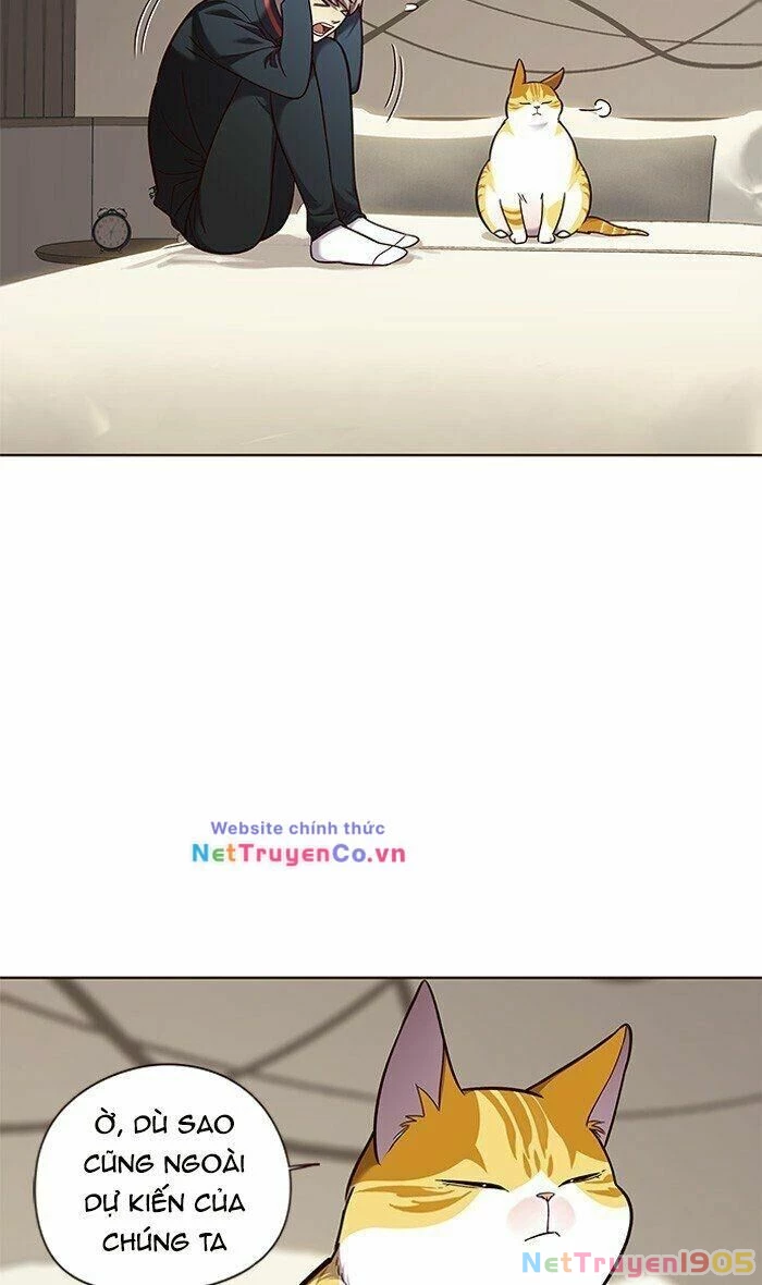 Cô Dâu Của Sói Trắng Chapter 82 - 8