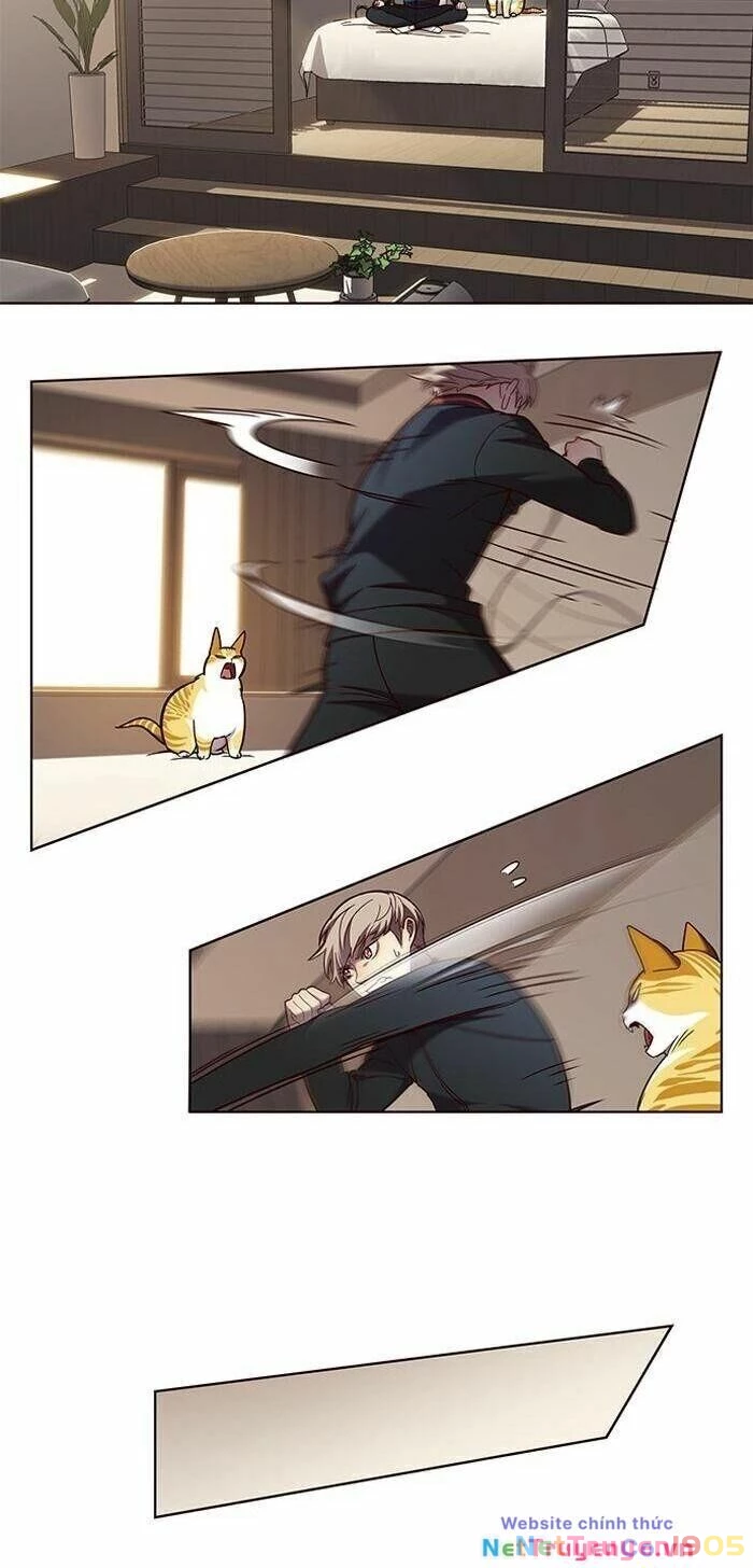 Cô Dâu Của Sói Trắng Chapter 83 - 31