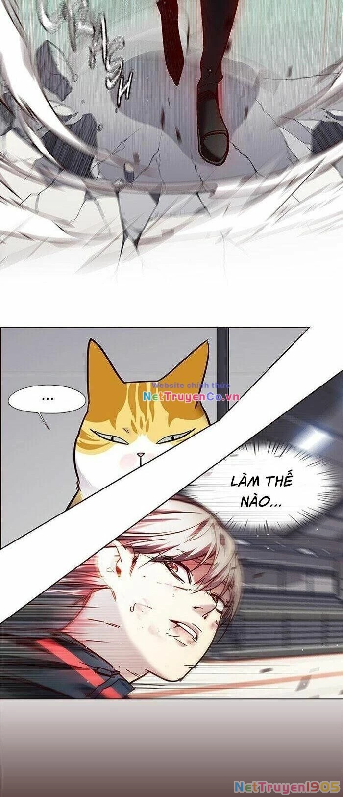 Cô Dâu Của Sói Trắng Chapter 87 - 40