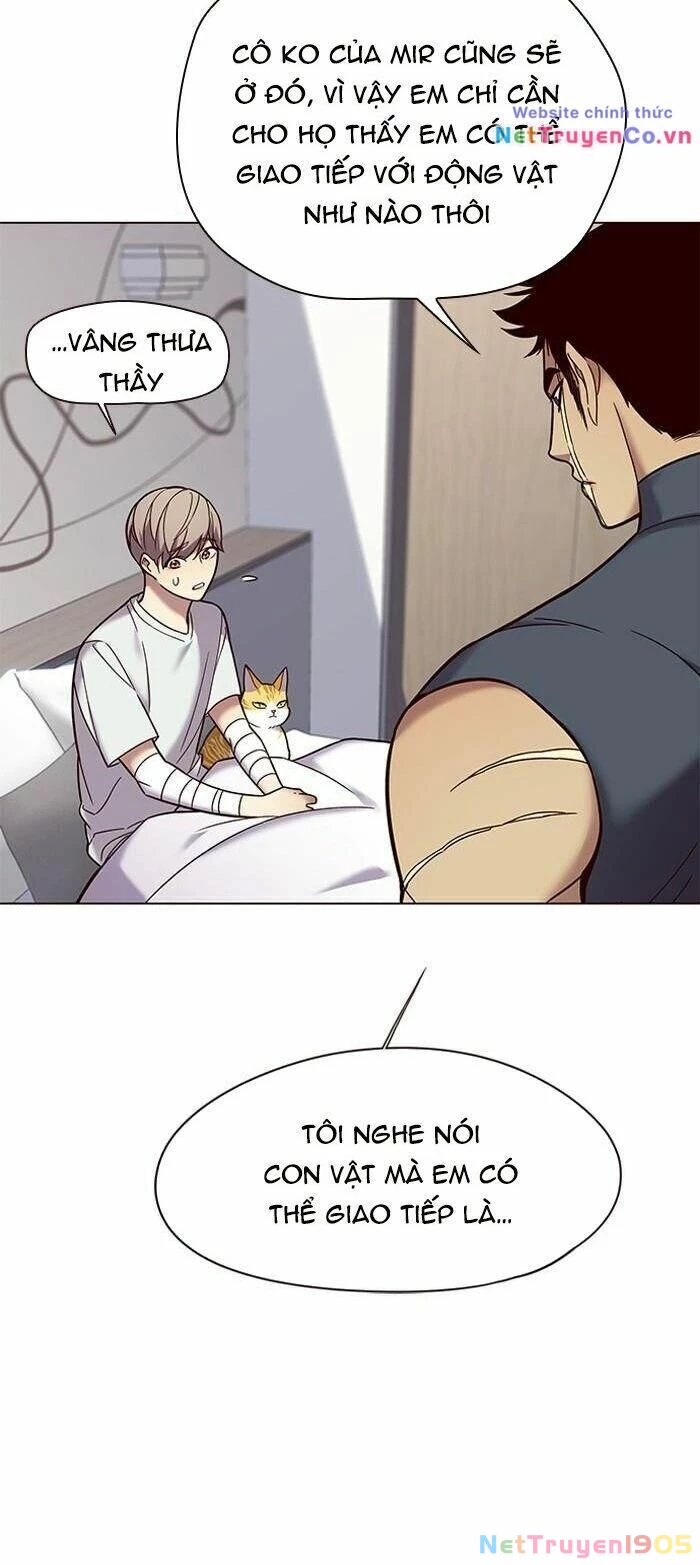 Cô Dâu Của Sói Trắng Chapter 89 - 15
