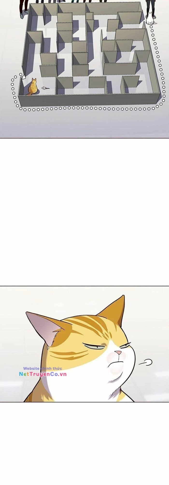 Cô Dâu Của Sói Trắng Chapter 89 - 37