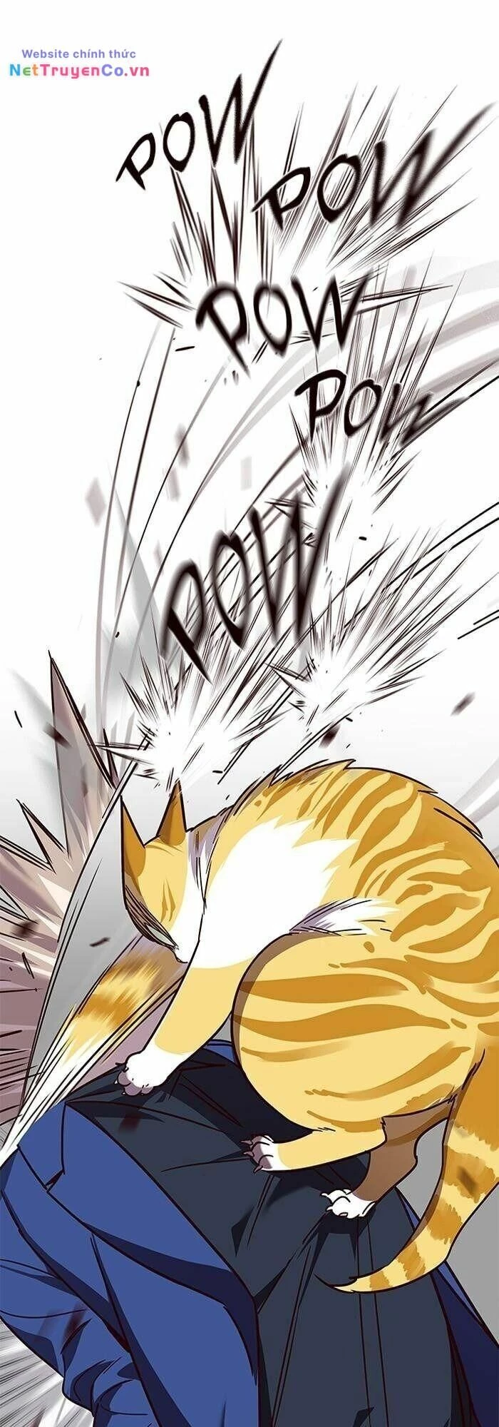 Cô Dâu Của Sói Trắng Chapter 89 - 51