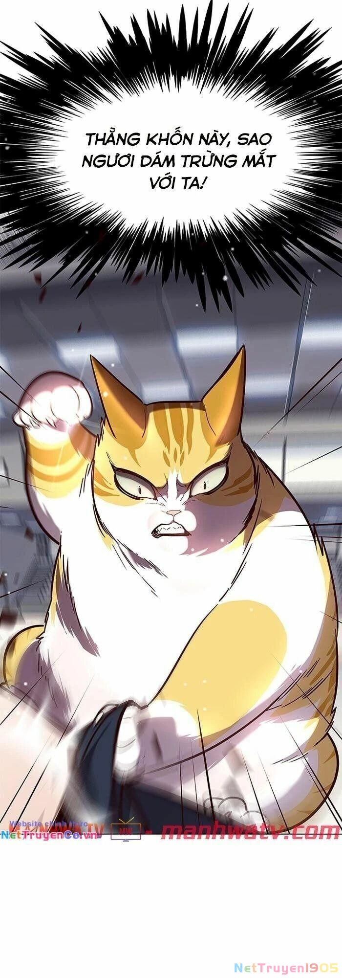 Cô Dâu Của Sói Trắng Chapter 89 - 54