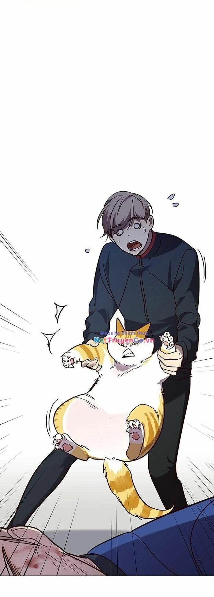 Cô Dâu Của Sói Trắng Chapter 89 - 58