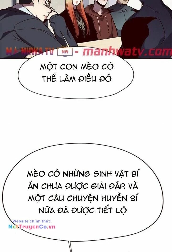 Cô Dâu Của Sói Trắng Chapter 90 - 17