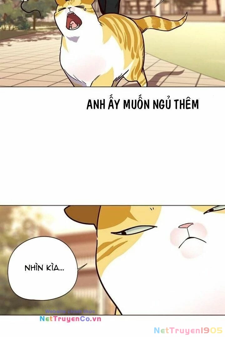 Cô Dâu Của Sói Trắng Chapter 90 - 41