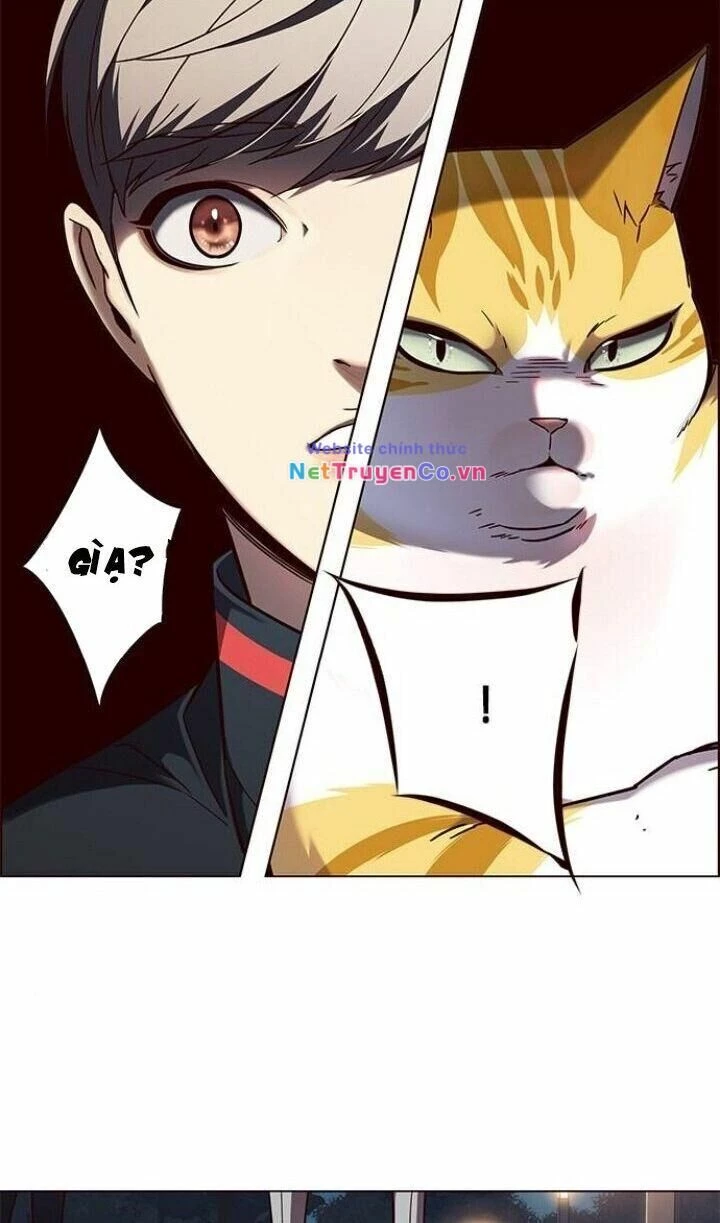 Cô Dâu Của Sói Trắng Chapter 91 - 37