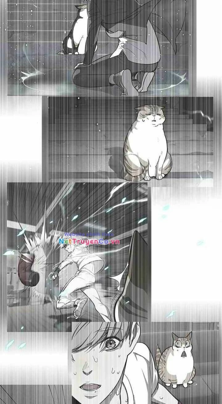 Cô Dâu Của Sói Trắng Chapter 93 - 37