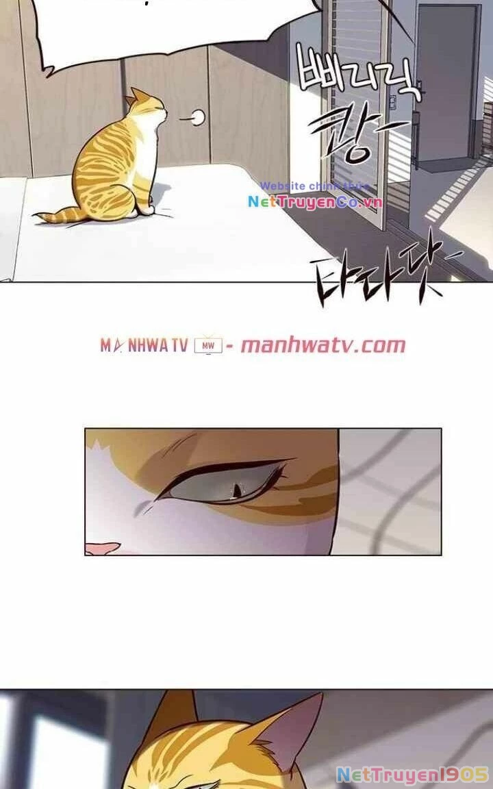 Cô Dâu Của Sói Trắng Chapter 95 - 34