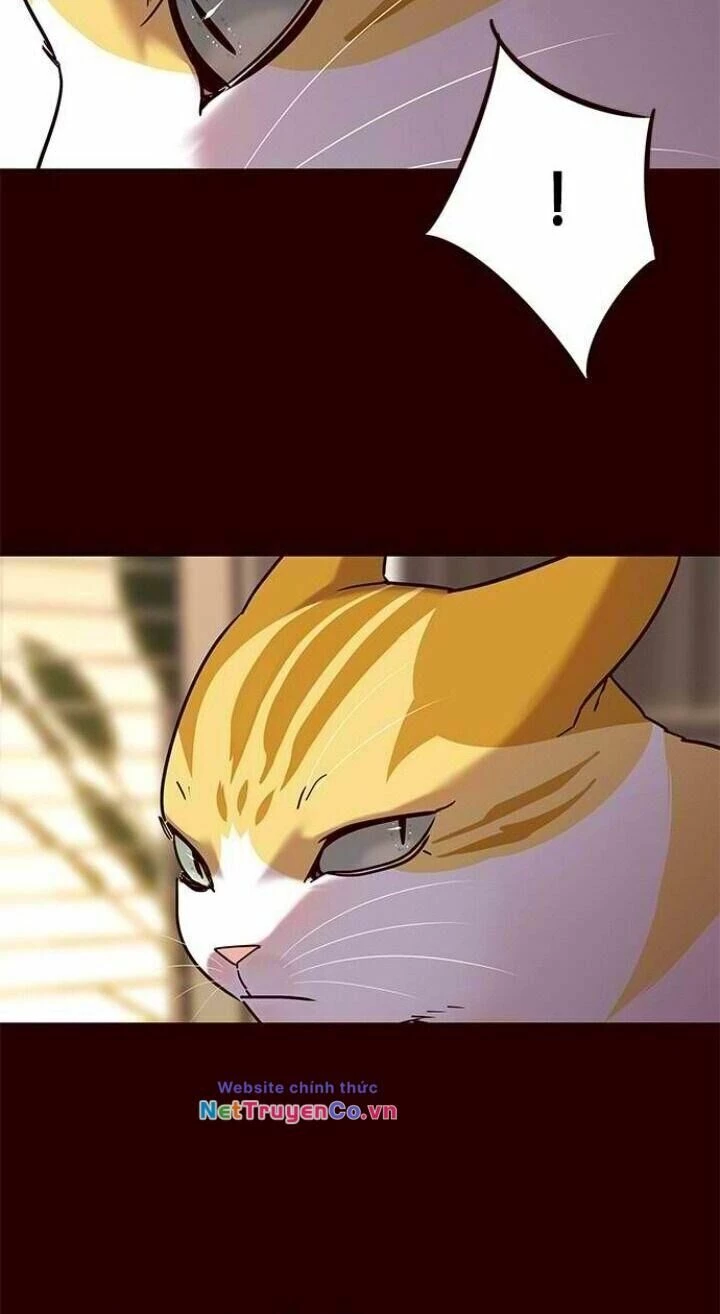 Cô Dâu Của Sói Trắng Chapter 96 - 12