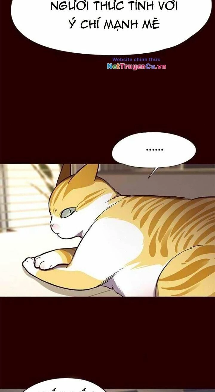 Cô Dâu Của Sói Trắng Chapter 96 - 17