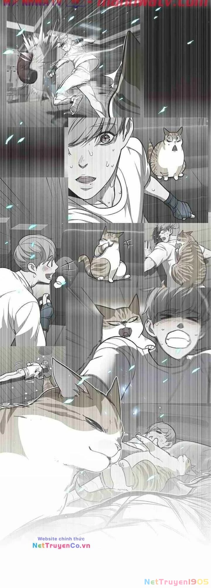 Cô Dâu Của Sói Trắng Chapter 99 - 54