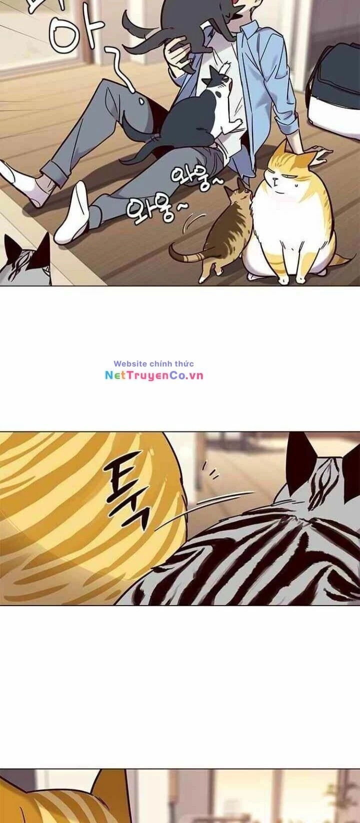 Cô Dâu Của Sói Trắng Chapter 99 - 66