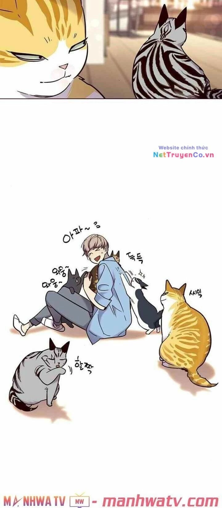 Cô Dâu Của Sói Trắng Chapter 99 - 67