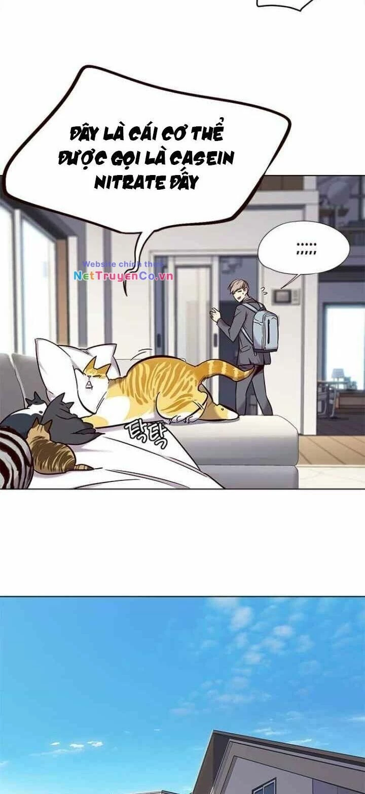 Cô Dâu Của Sói Trắng Chapter 100 - 6