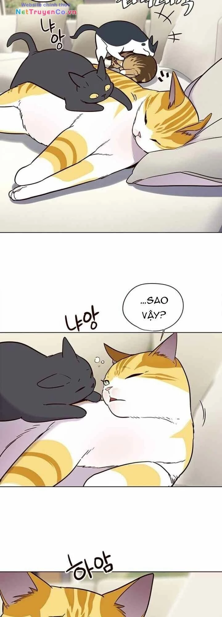 Cô Dâu Của Sói Trắng Chapter 101 - 5