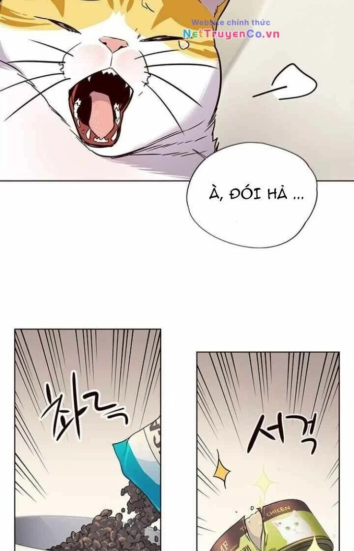 Cô Dâu Của Sói Trắng Chapter 101 - 6