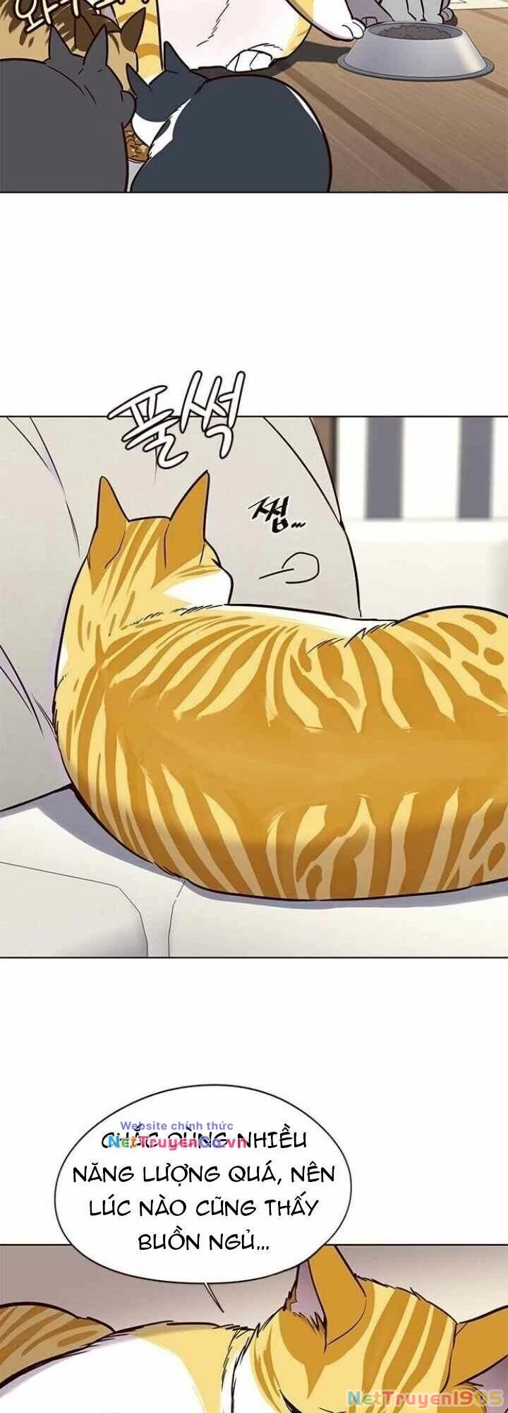 Cô Dâu Của Sói Trắng Chapter 101 - 8