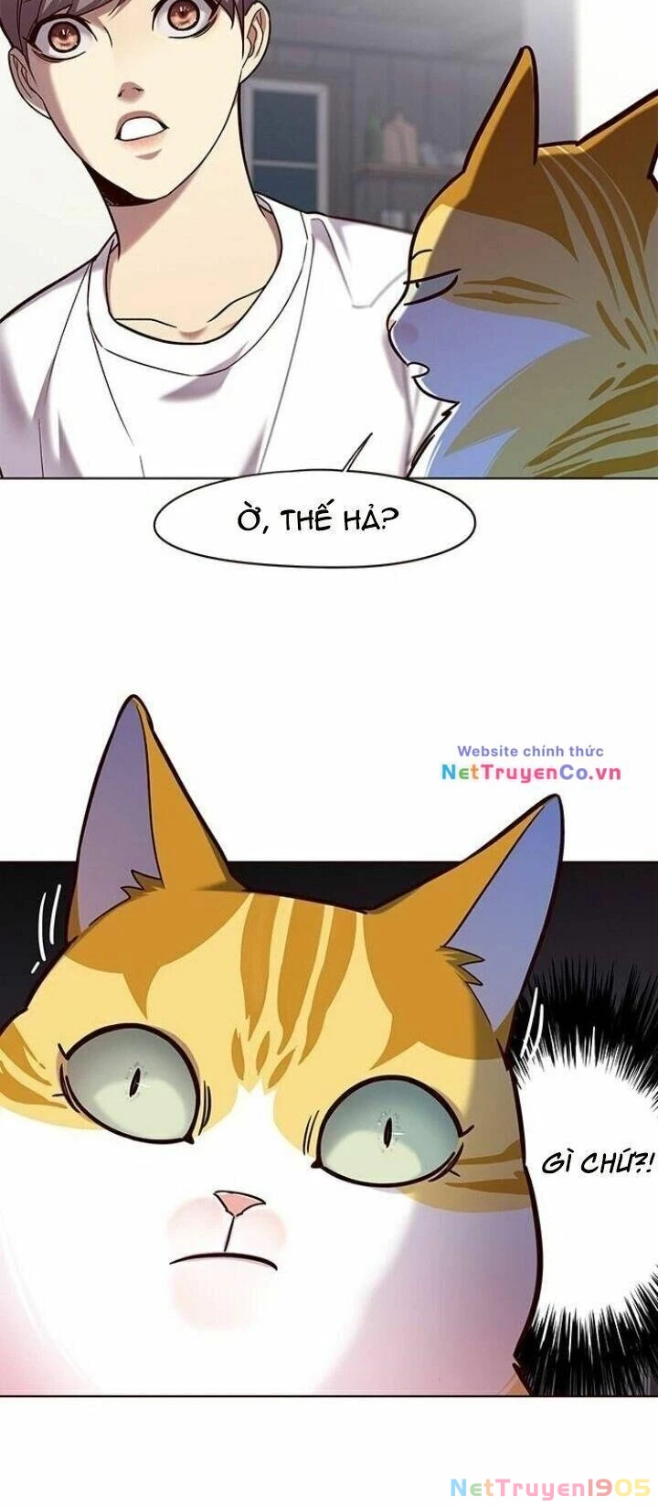 Cô Dâu Của Sói Trắng Chapter 105 - 18