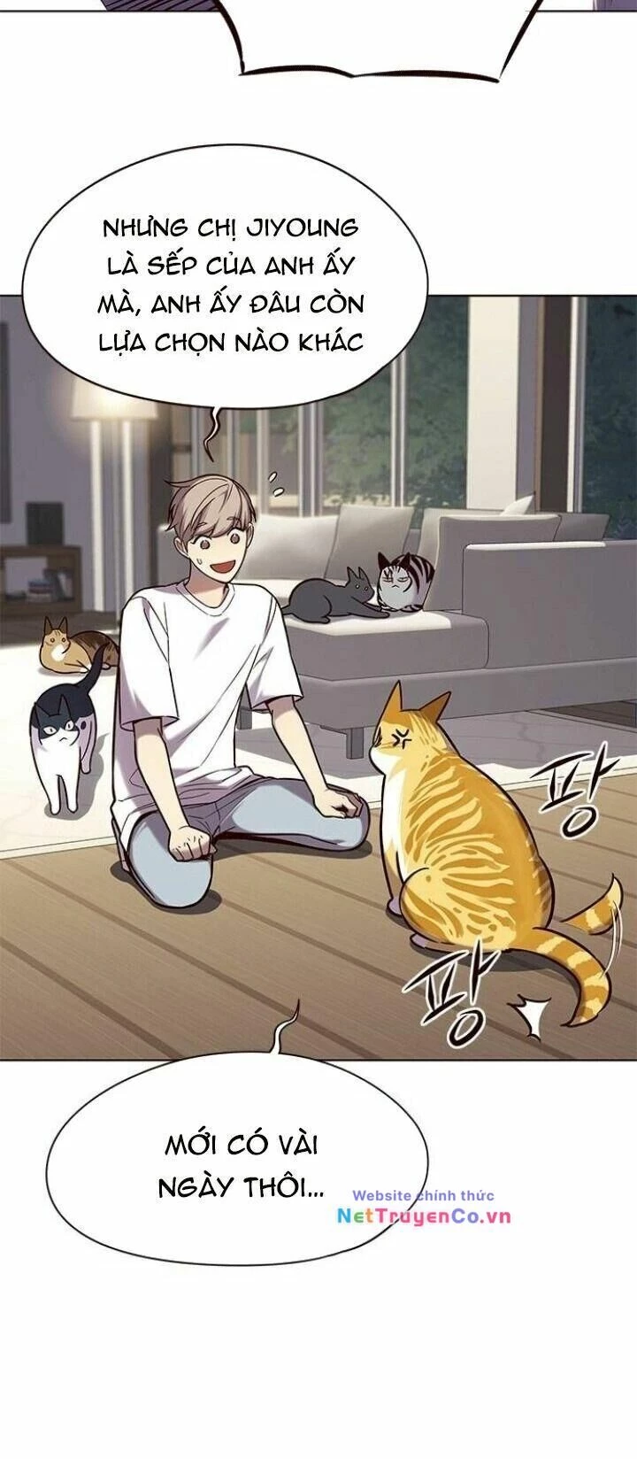 Cô Dâu Của Sói Trắng Chapter 105 - 20