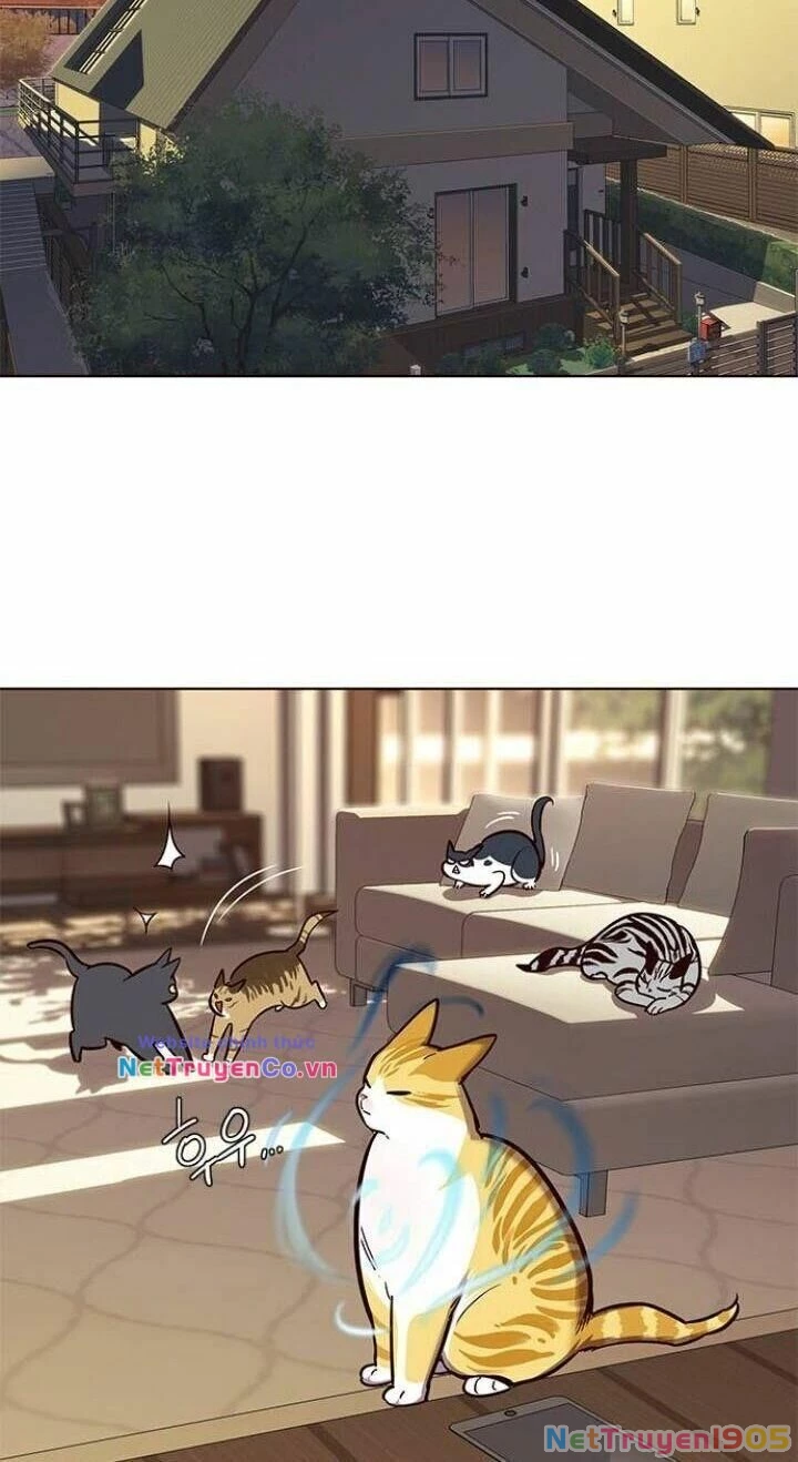 Cô Dâu Của Sói Trắng Chapter 106 - 48