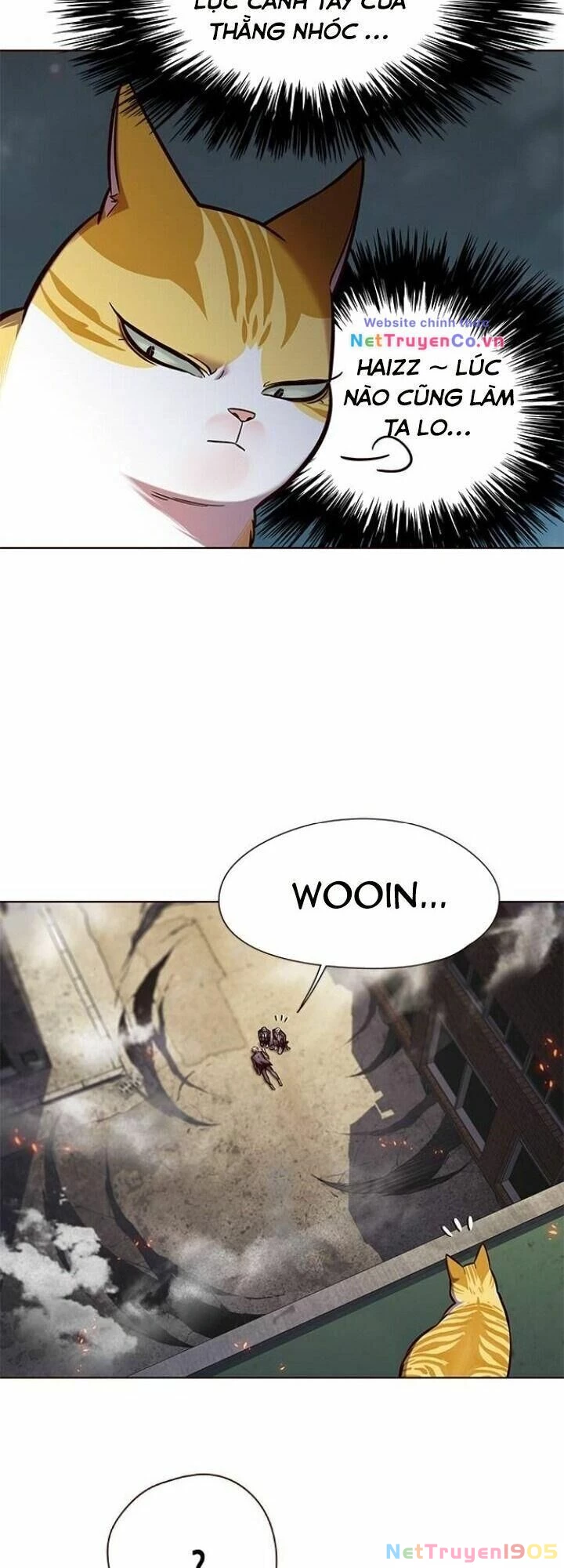 Cô Dâu Của Sói Trắng Chapter 111 - 10