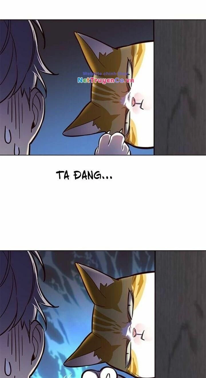 Cô Dâu Của Sói Trắng Chapter 112 - 72