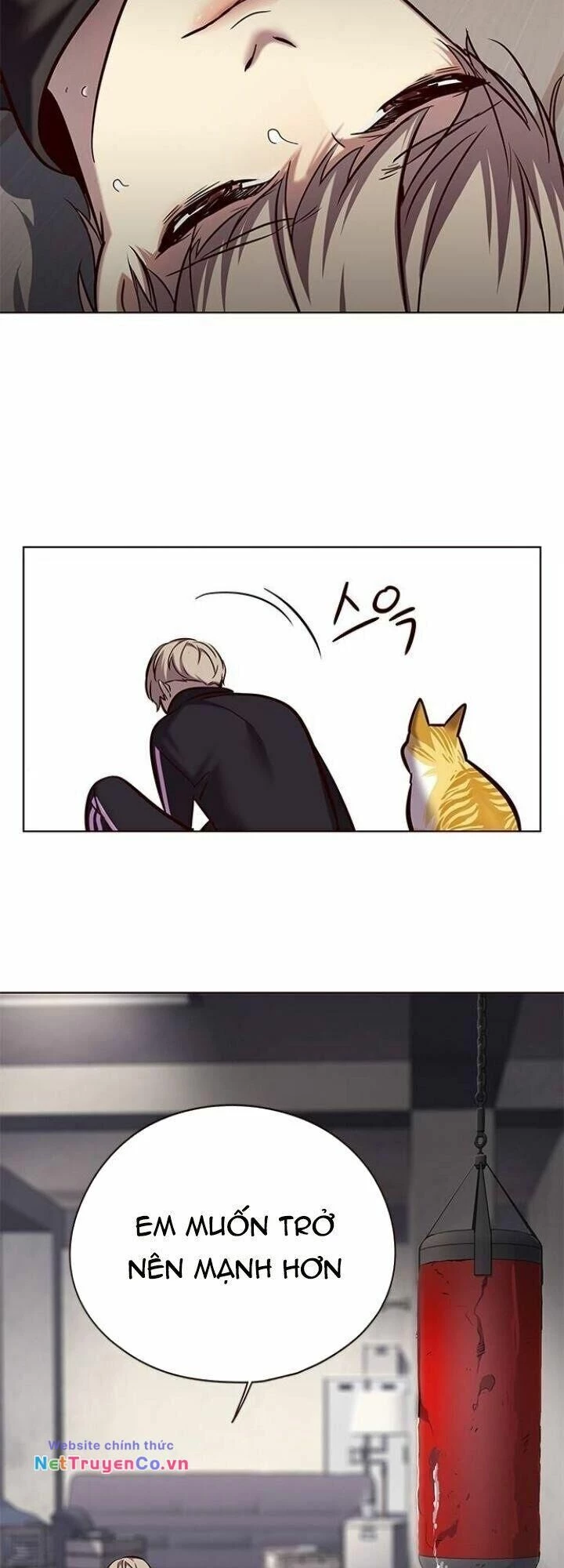 Cô Dâu Của Sói Trắng Chapter 116 - 7