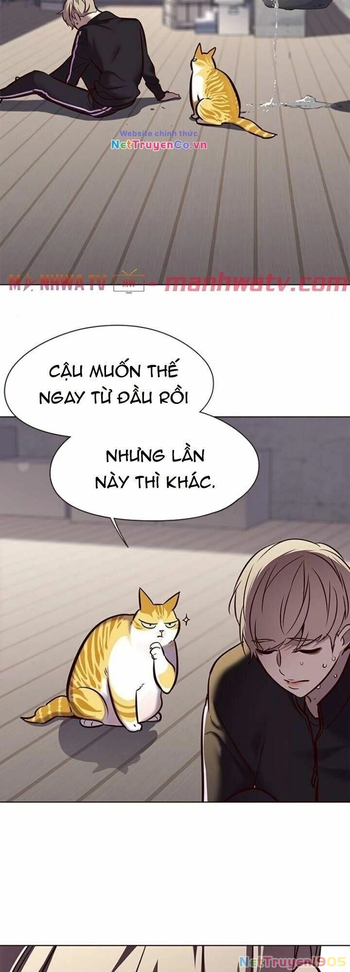 Cô Dâu Của Sói Trắng Chapter 116 - 8