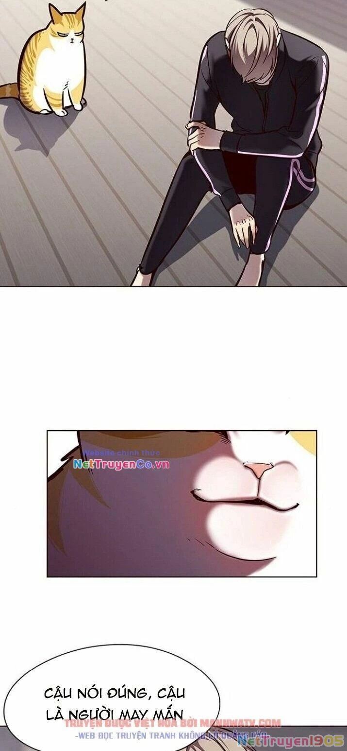 Cô Dâu Của Sói Trắng Chapter 116 - 18