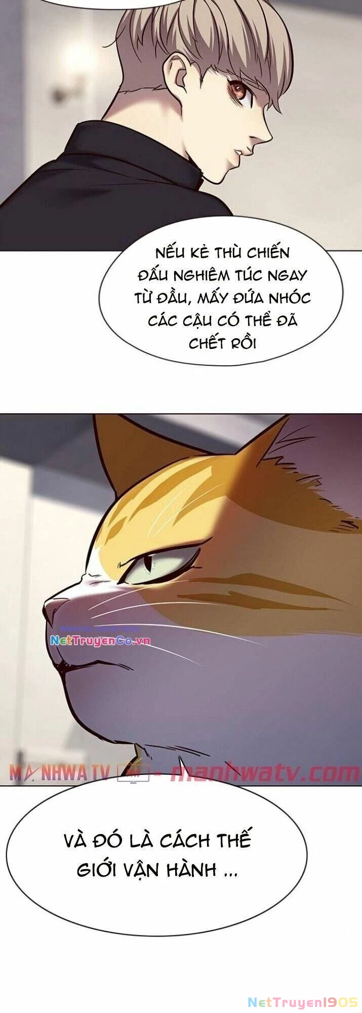 Cô Dâu Của Sói Trắng Chapter 116 - 19